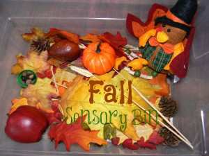 fall sensory bin